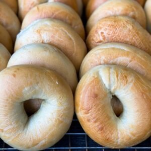 plain bagels