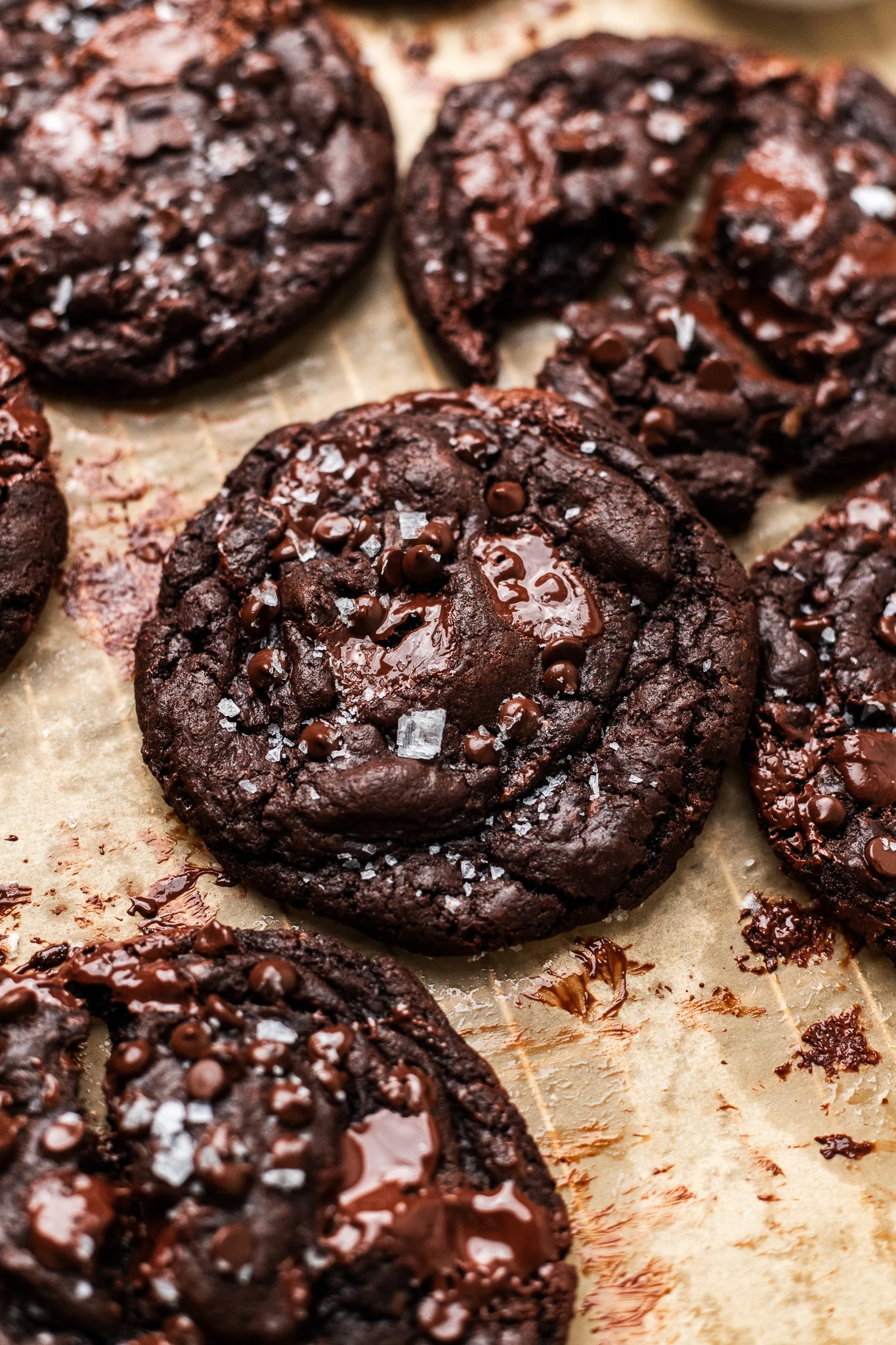 double chocolate cookies double chocolate cookies